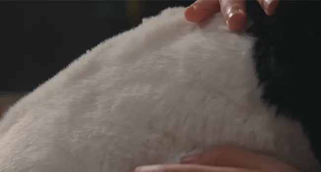 Indulge in MetaPanda's Soft Fur