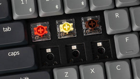 Hot-Swappable Feature of the Keychron K1 Version 6 Ultra Slim TKL Layout QMK Wireless Mechanical Keyboard K1-Version-6-Hot-Swappable.jpg__PID:41ca697d-a1e5-4f34-b7ca-1b26cca22c98