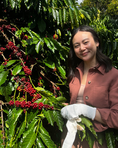 Nguyen Coffee Supply Vietnam Sahra Nguyen 2024 Trip