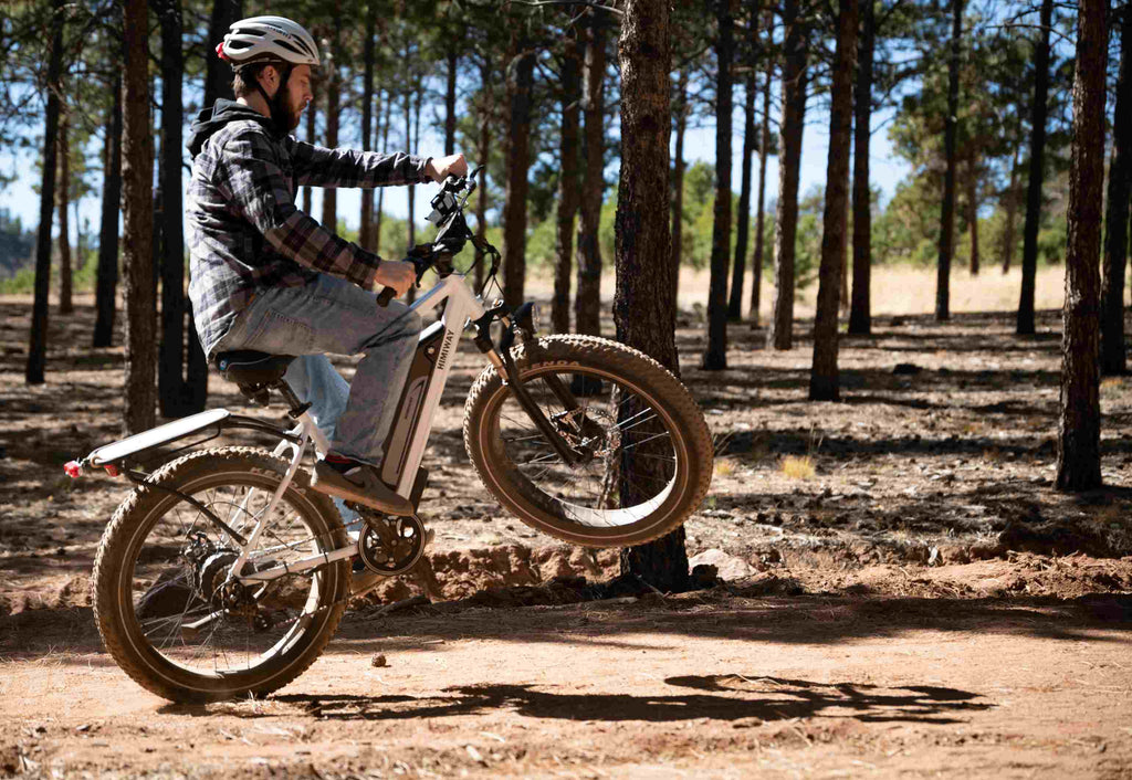 E-Bike-Laden Richtig | Himiway
