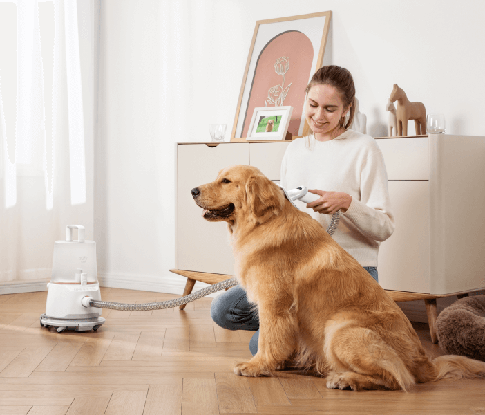 Robot Vacuums for Pet Hair