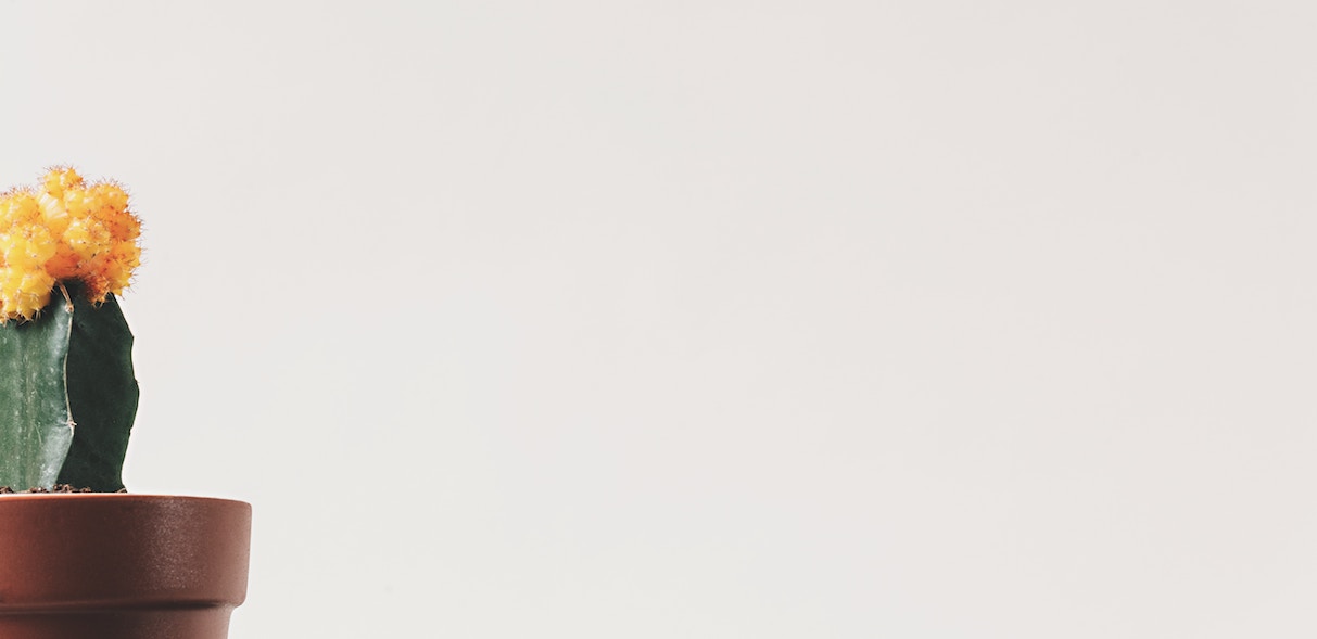 white-space-design