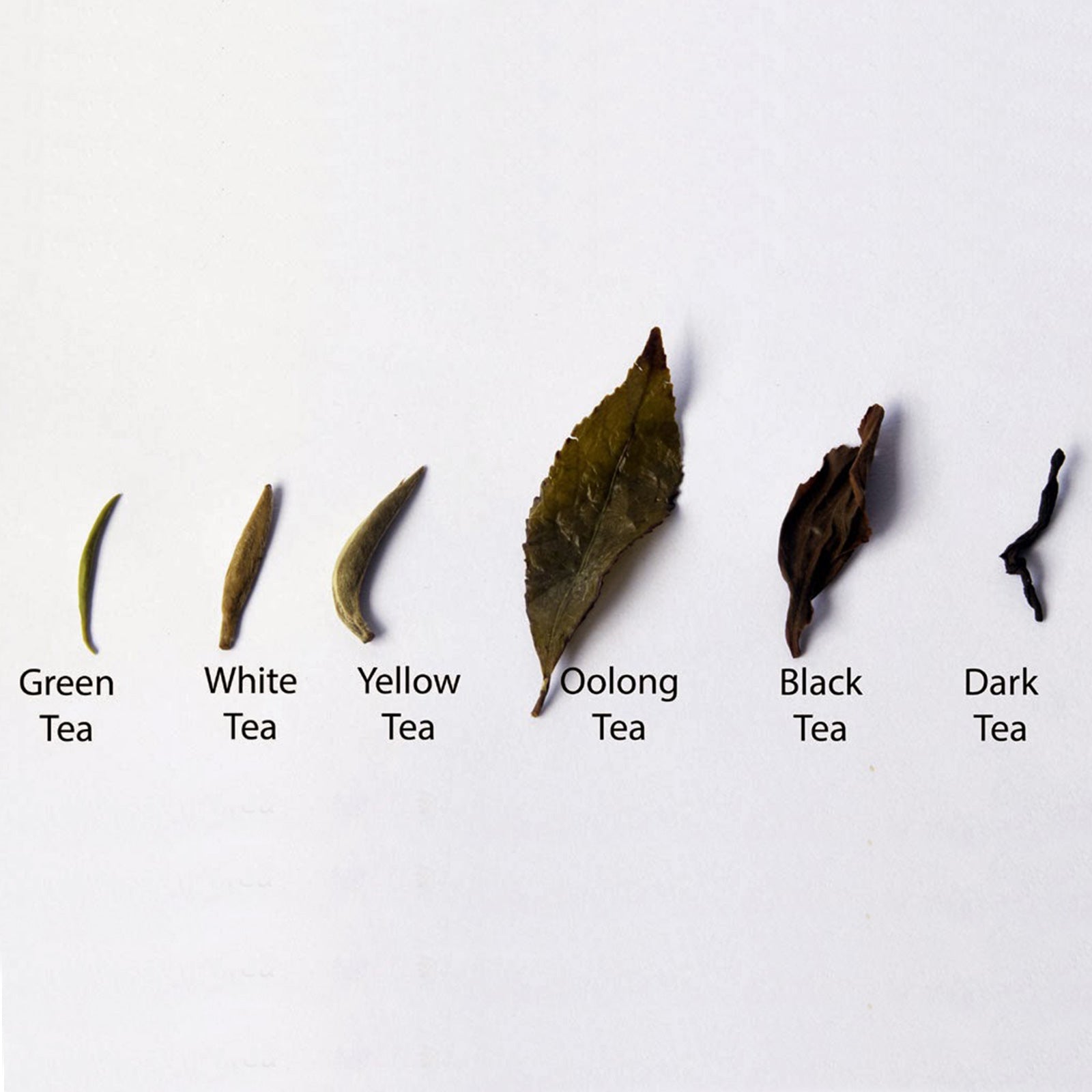 Types of loose tea leaves Types of loose tea leaves