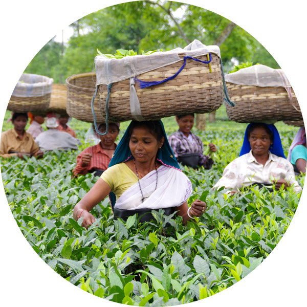 Ethical Sourcing Ethical Sourcing