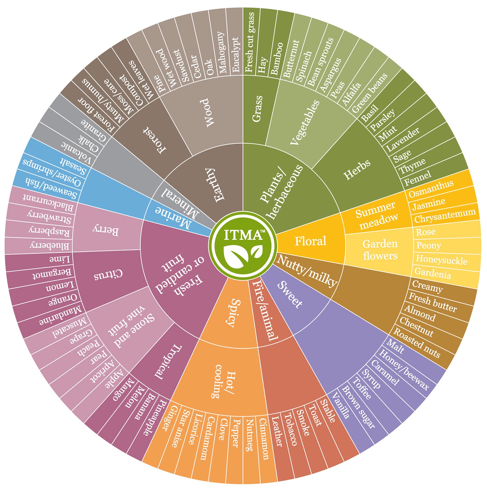 Flavour wheel Flavour wheel