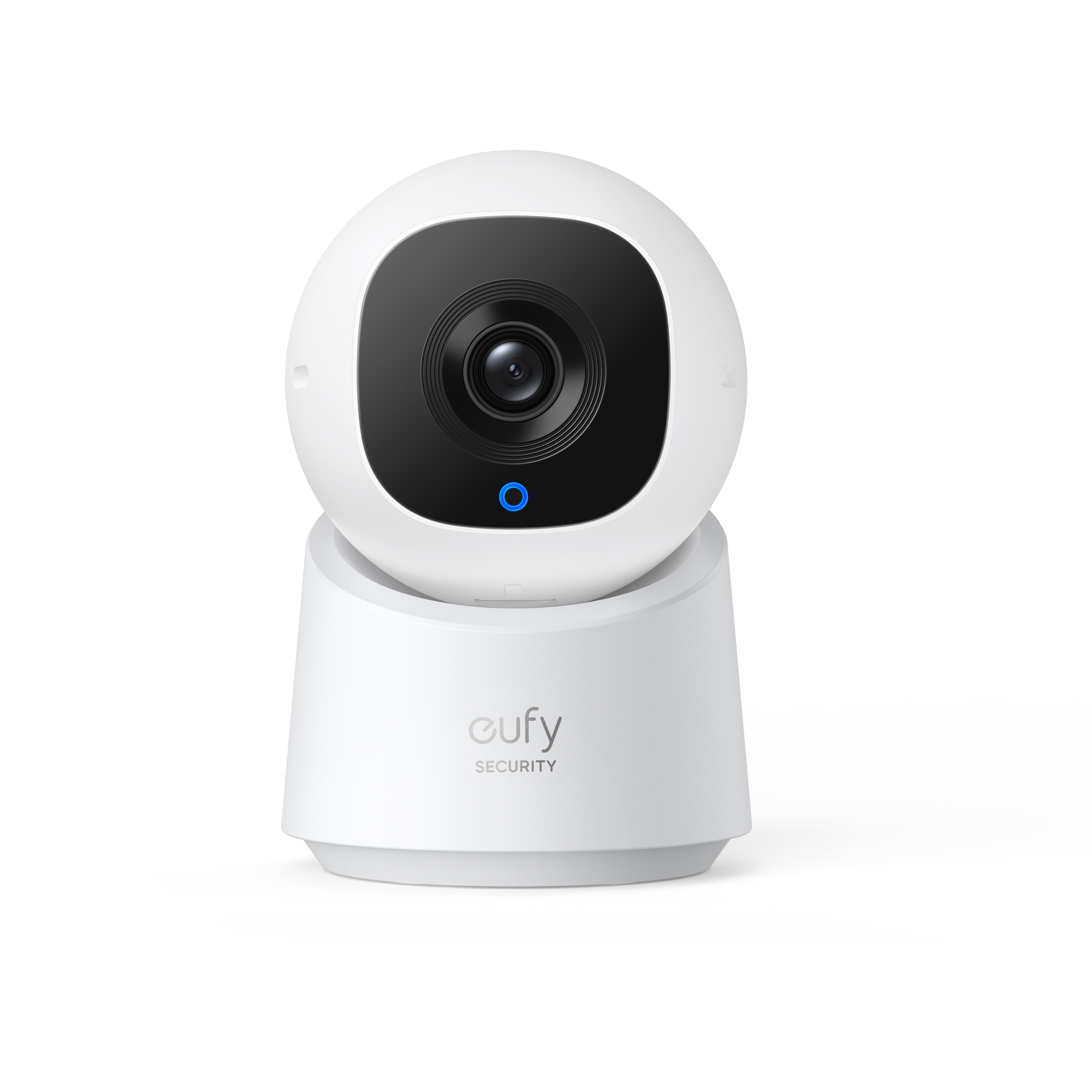Indoor Cam C210