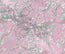 Branch Image 8