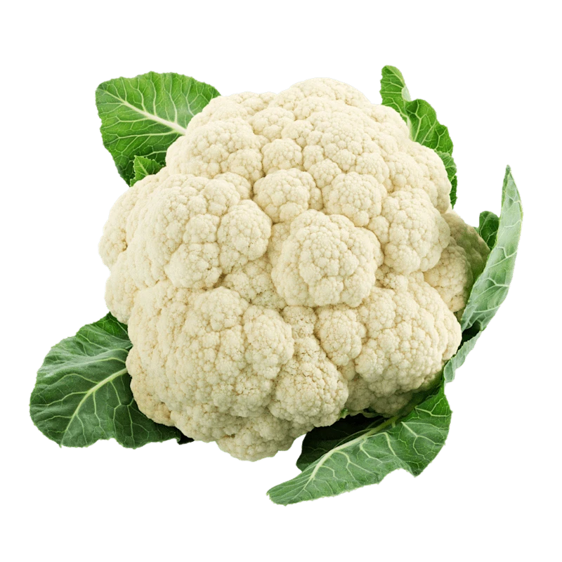A fresh cauliflower with green leaves on a white background.