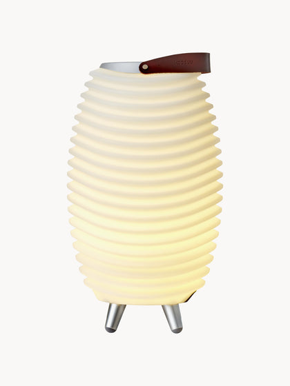 Mobilní stmívatelná zahradní LED lampa s reproduktorem a chladičem lahví Synergy S