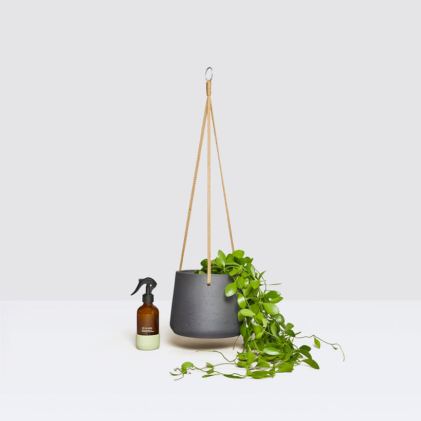 Theodore, pot & mister