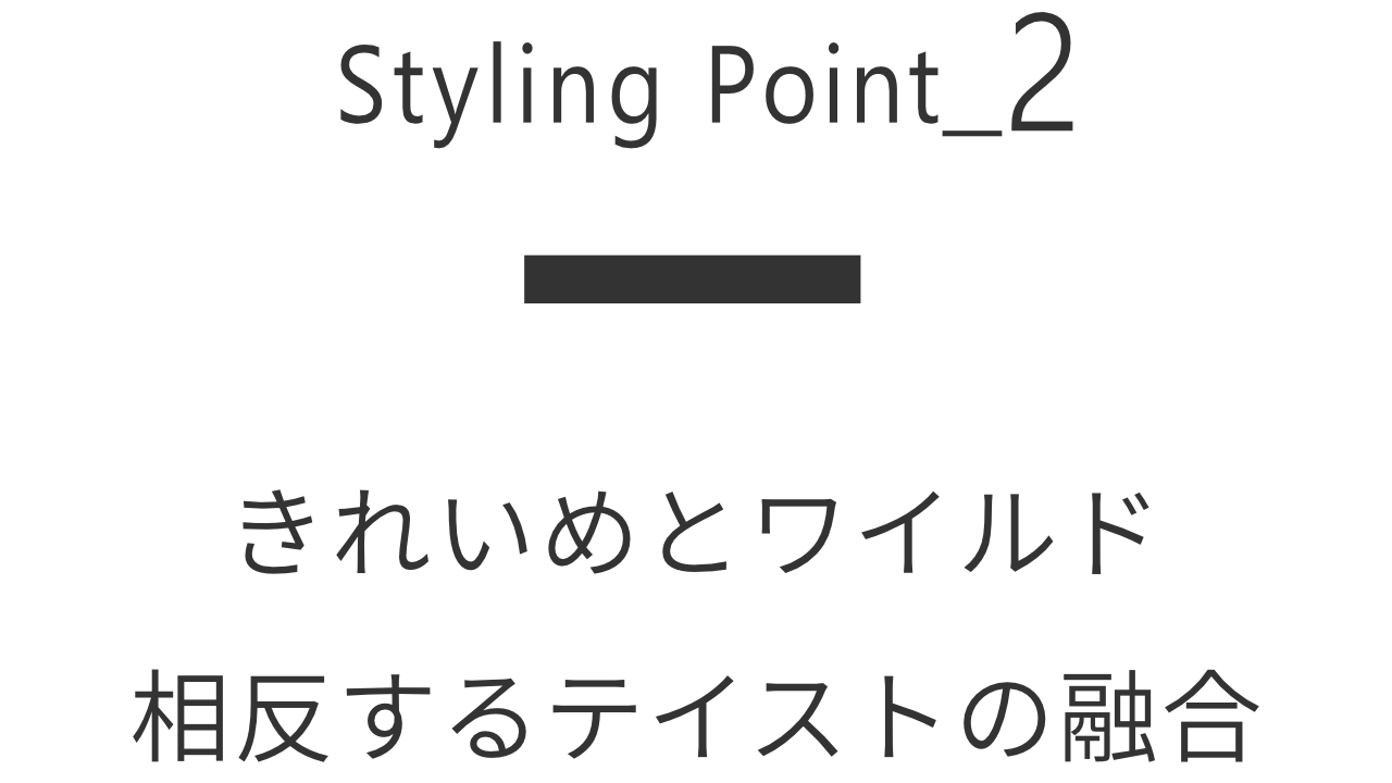 2 きれいめとワイルド相反するテイストの融合