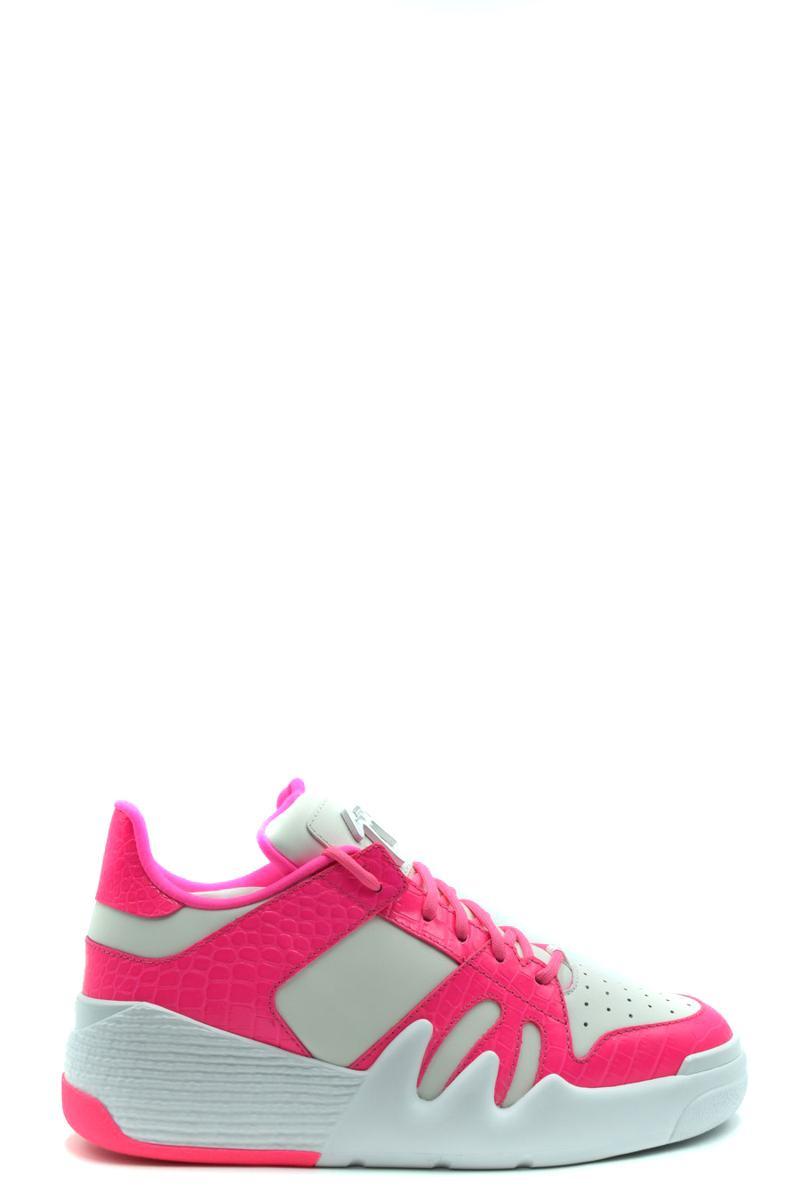 Shop Giuseppe Zanotti Sneakers In Multicolor