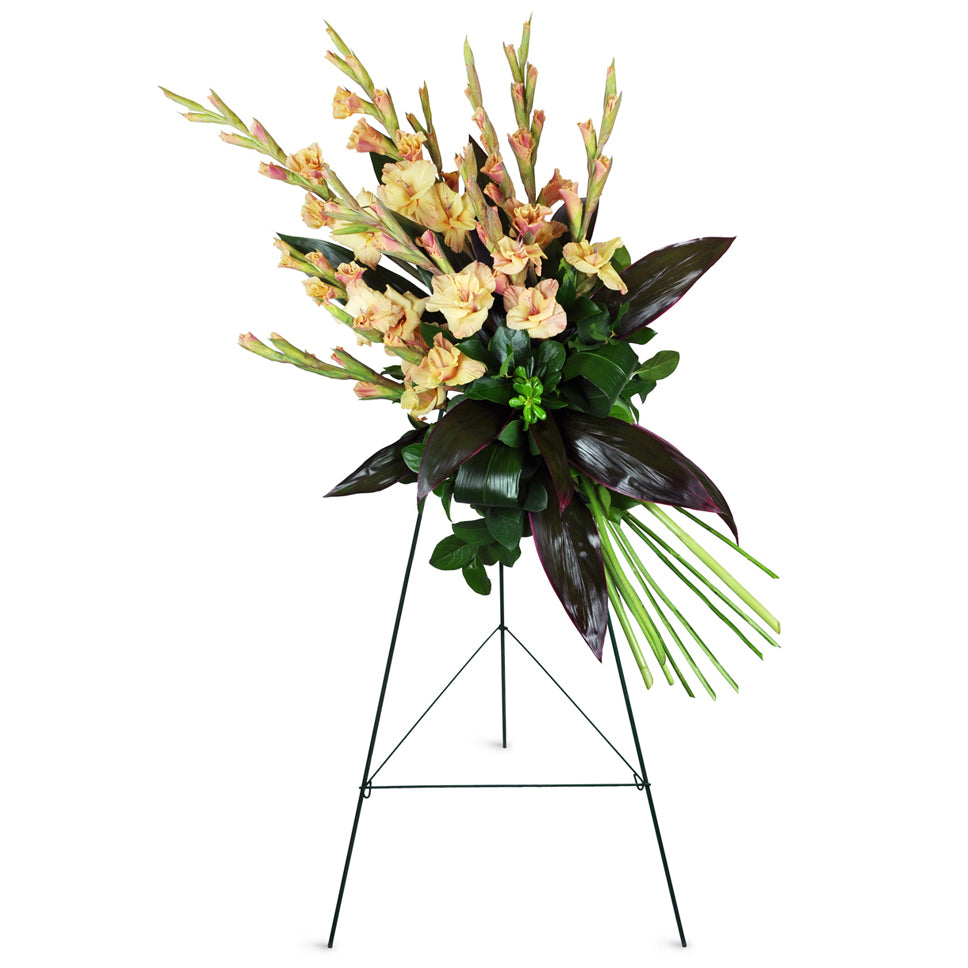 Elegant Memories Spray. Long-stemmed gladiolus and dark green aspidistra leaves are arranged in a perfectly balanced sympathy spray.